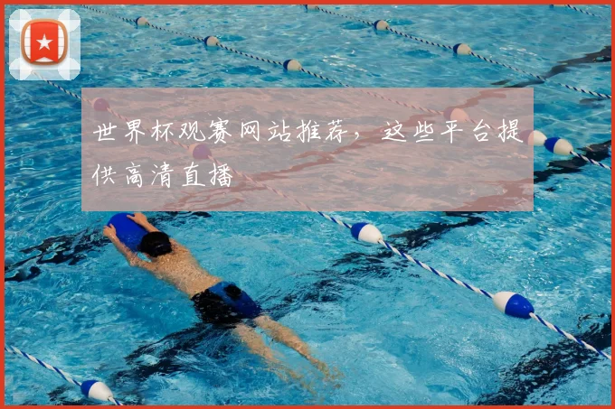 世界杯观赛网站推荐，这些平台提供高清直播
