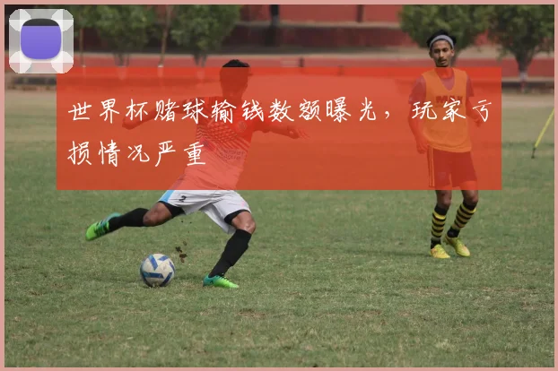 世界杯赌球输钱数额曝光,玩家亏损情况严重