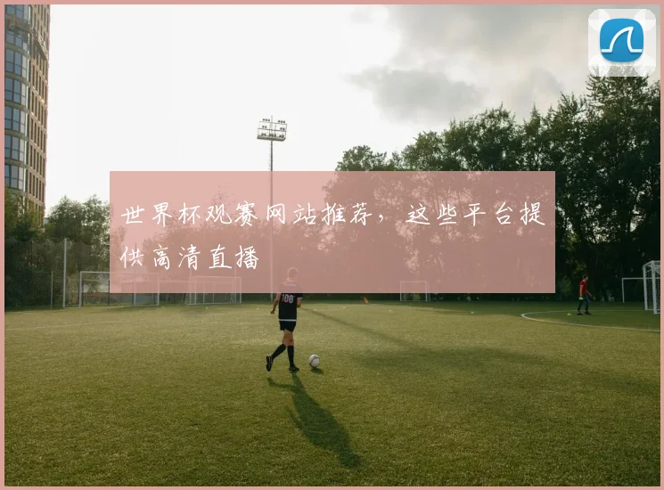 世界杯观赛网站推荐，这些平台提供高清直播