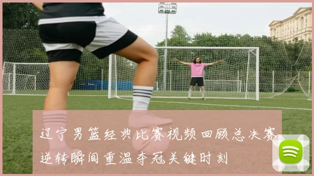 辽宁男篮经典比赛视频回顾总决赛逆转瞬间重温夺冠关键时刻