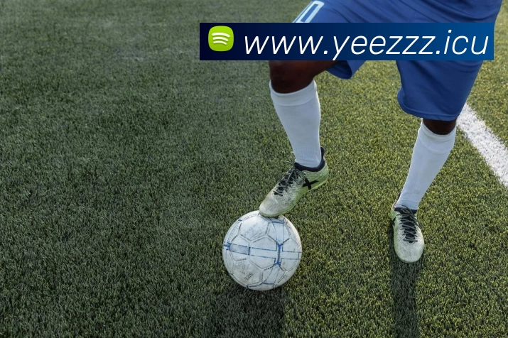 App Interface Preview